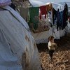 Босоногая девочка  между рядами палаток в  лагере сирийских беженцев  возле границы с Турцией, провинция  Алеппо. Фото ЮНИСЕФ