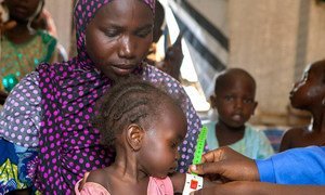 Un dépistage nutritionnel pour les enfants du camp de déplacés de Dalori, dans la ville de Maiduguri, dans l'Etat de Borno, au nord-est du Nigéria.