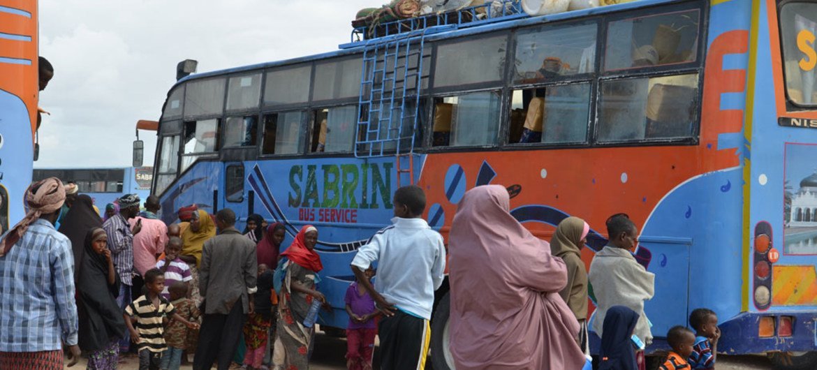 حافلات تقل أكثر من 387 شخصا غادرت مخيم داداب في شمال شرق كينيا إلى الصومال. المصدر: مفوضية الأمم المتحدة لشؤون اللاجئين/ أسد الله نصر الله