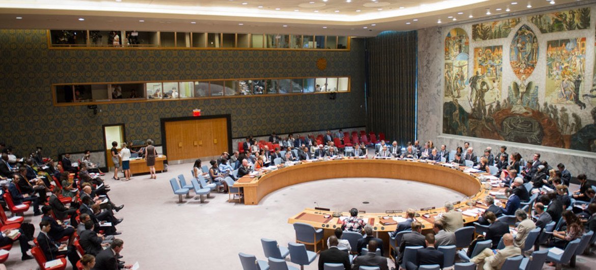 安理会就“在非洲建设和平”主题举行公开辩论。联合国图片/Rick Bajornas