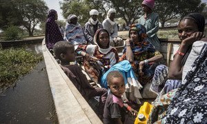 Nigerian refugees leave their camp in Ngouboua, on the coast of Lake Chad, in this image from February 2015.