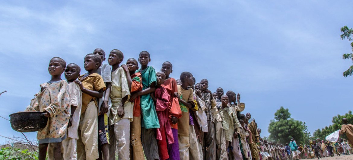 尼日利亚博尔诺州的妇女和女童。儿基会图片/Andrew Esiebo