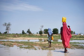Des filles transportent de l'eau à travers un champ après la pluie sur un site pour personnes déplacés à Diffa, au Niger, le 18 août 2016.