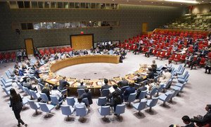 Le Conseil de sécurité discutant de la situation en Guinée-Bissau en août 2016 (archives). Photo ONU/Rick Bajornas