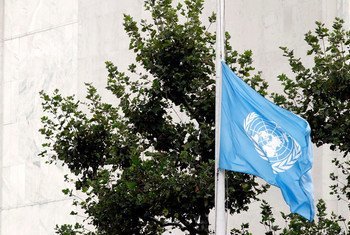 media:entermedia_image:2ae1b9e3-5ba3-43ed-9a2f-df8f7a50c35f