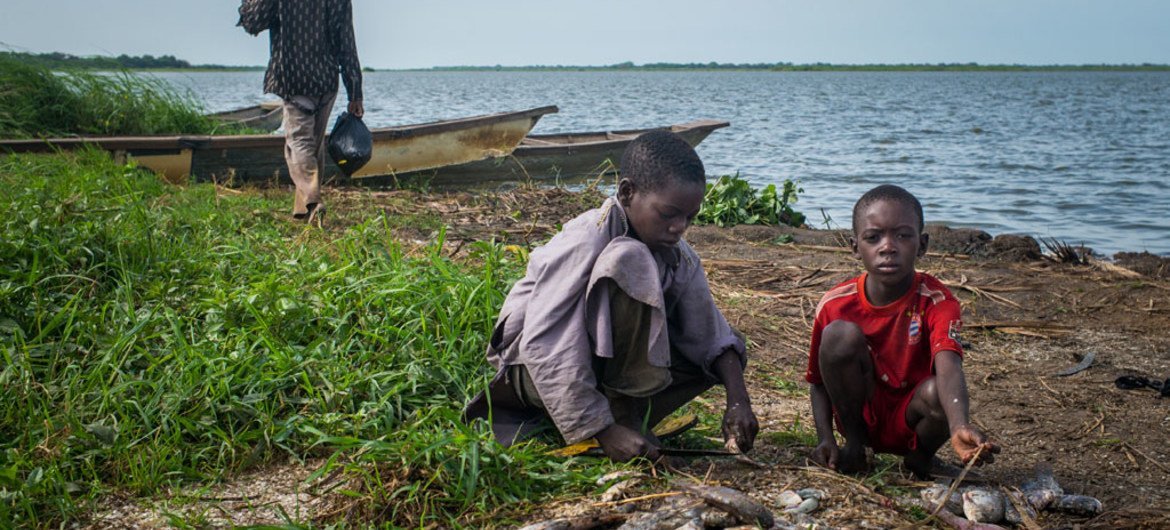 Des enfants préparent du poisson fraîchement pêché dans le village de Tagal, dans la bassin du lac Tchad, au Tchad.