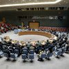 安理会就中东问题举行会议。联合国/Evan Schneider