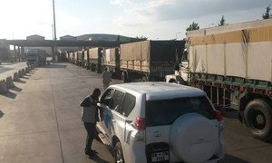 Truckloads of humanitarian aid waiting to cross into Syria on 19 September 2016.