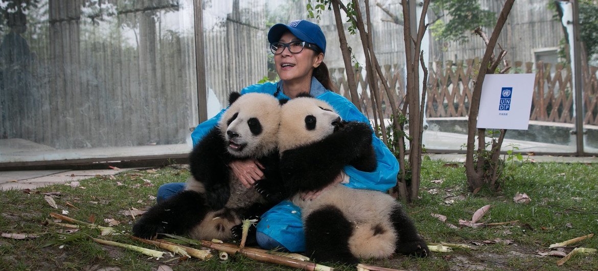 Michelle Yeoh and UNDP announced the names of the panda ambassadors at the 7th Social Good Summit in New York.