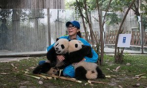 Michelle Yeoh and UNDP announced the names of the panda ambassadors at the 7th Social Good Summit in New York.