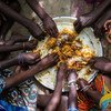 Plusieurs mains se plongent dans un grand plat blanc pour partager un repas convivial de poisson et de ragoût.