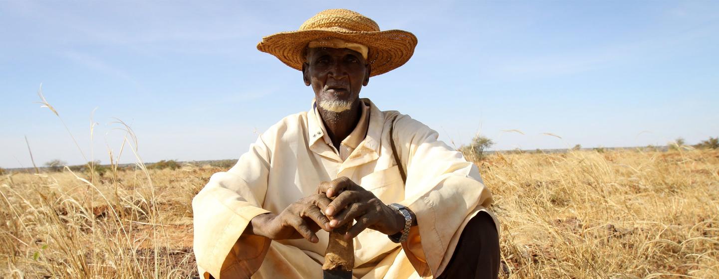 Un habitant du village de Dan Kada, dans la région de Maradi, au Niger, profite d'un programme de nourriture et d'argent contre travail11. 