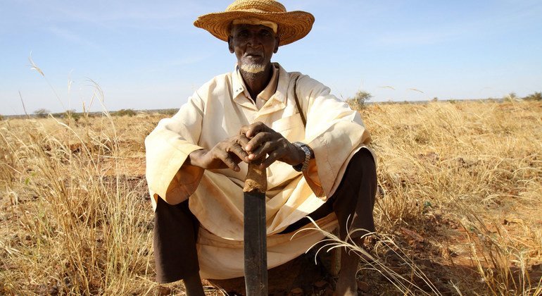 Un habitant du village de Dan Kada, dans la région de Maradi, au Niger, profite d'un programme de nourriture et d'argent contre travail11. 