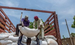 De l'aide alimentaire en cours de distribution aux populations déplacées dans le camp de Banki, Etat de Borno, dans le nord-ouest du Nigéria.