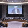 副秘书长奥布莱恩就叙利亚人道主义局势向安理会进行通报。联合国图片/Kim Haughton