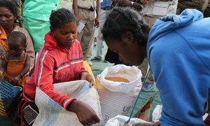 Des femmes à Amjampaly, Madagascar, collectent des denrées ainsi que de la nourriture prête à consommer.