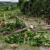 A man works to clear downed trees from his property near the western town of Leoganne, after Hurricane Matthew made landfall in Haiti.  He lost his crops and livestock.