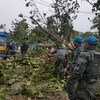 Brazilian Marines with the  UN Stabilization Mission in Haiti (MINUSTAH) clearing the road to les Cayes, Haiti, after the passage of Hurricane Matthew.