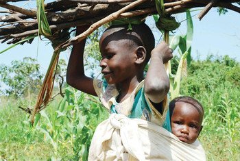 A young girl carries her sibling on her back and firewood on the head. Girls always bear the burden of doing most of the house chores.