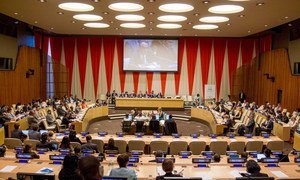 A wide view of the ECOSOC Chamber.