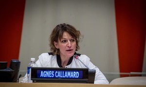 Agnes Callamard, UN Special Rapporteur on extrajudicial, summary or arbitrary executions.