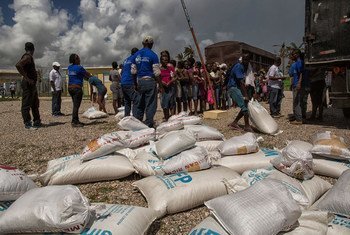 Ajuda do PMA chegando no Haiti