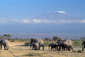 Mlima Kilimanjaro ulioko Tanzania kama unavyoonekana kutoka nchini Kenya