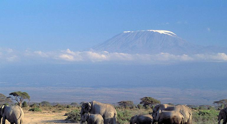 Mlima Kilimanjaro ulioko Tanzania 