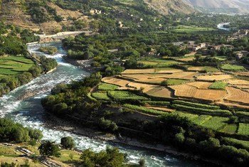 media:entermedia_image:1a93d03e-9f4a-4789-8023-b578419374b7