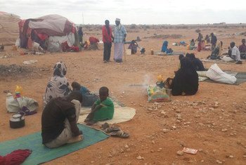 The onset of the rainy season is likely to worsen living conditions for those displaced by violence who are now seeking shelter in the open in the Xaar-xaarka area of Gaalkacyo, Somalia.