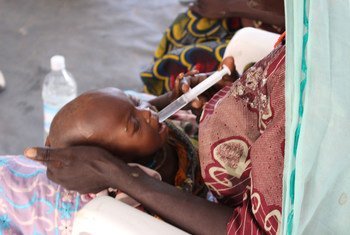 A severely malnourished child receives treatment in a clinic in Banki, north-east Nigeria. He is receiving water with sugar and food supplements to increase his body weight.