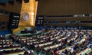 Wide view of the General Assembly meeting to consider the necessity of ending the economic, commercial and financial embargo imposed by the United States of America against Cuba.