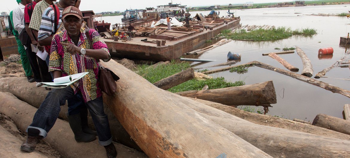 التحقق من الأخشاب في مستودع للخشب بالقرب من كينشاسا، جمهورية الكونغو الديمقراطية. المصدر: فلور دي برينيف / البنك الدولي / FP-DRC-4490