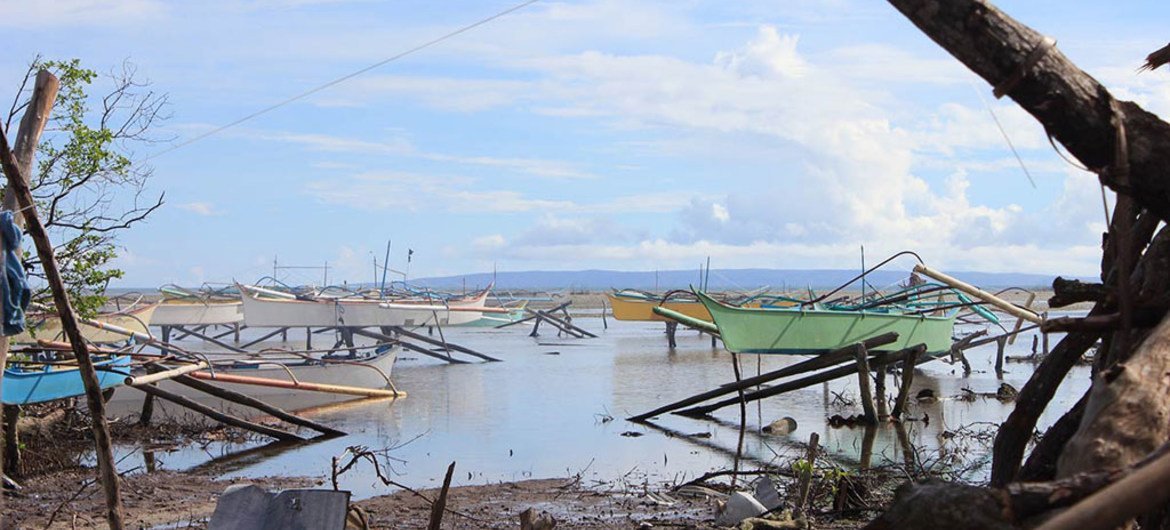 Anualmente los desastres causan miles de millones de dólares en pérdidas económicas. Foto: FAO