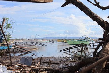 Anualmente los desastres causan miles de millones de dólares en pérdidas económicas. Foto: FAO