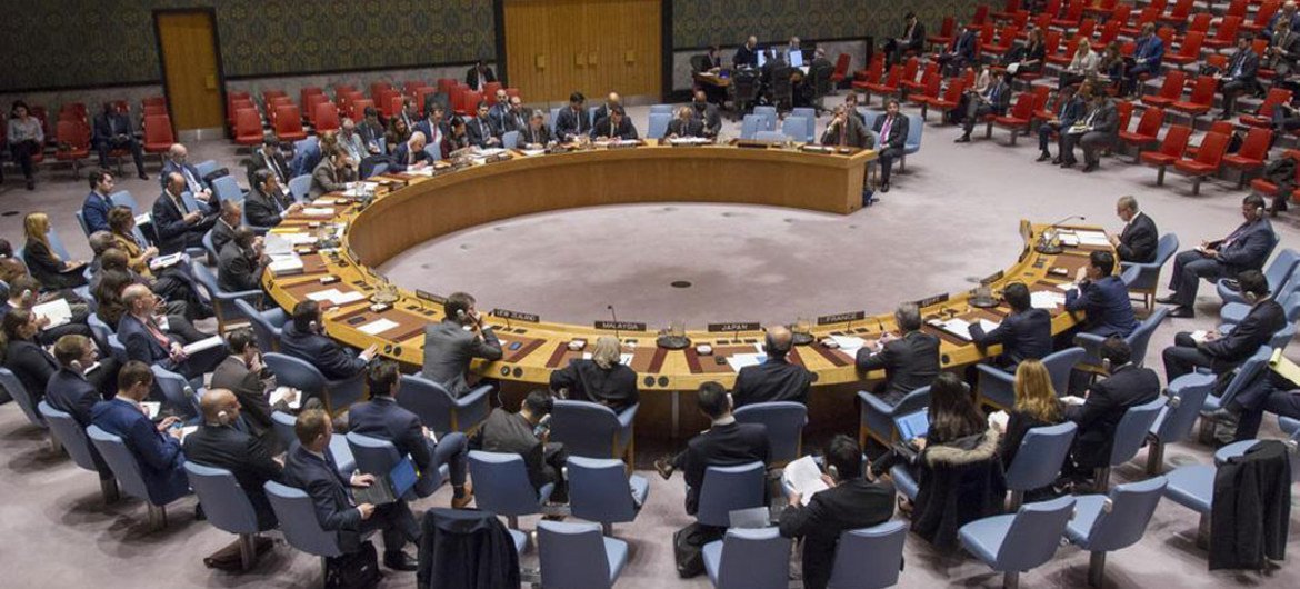 Wide view of the Security Council.
