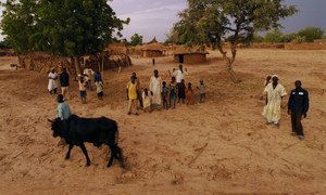 The results of climate change and environmental pressures are acutely experienced by rural communities such as the Dan Kada Village in Nigeria.