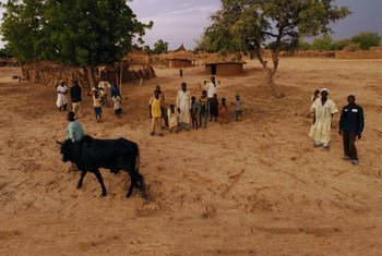 尼日利亚的农村。国际农业发展基金//David Rose