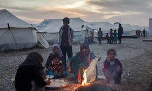 A woman crouches on the floor making bread outside her family’s tent in the newly built Hasansham camp, after fleeing fighting near her home on the outskirts of Mosul last week.