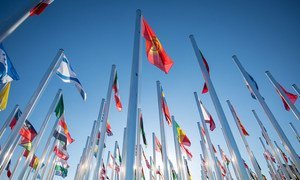 Country Flags outside the UN COP22 venue in Marrakech, Morocco.