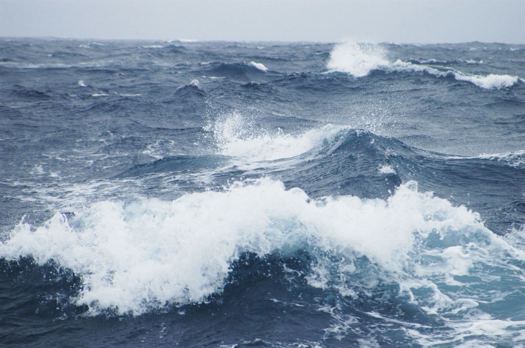 海洋表面温度普遍升高。