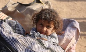 A young girl displaced due to on-going hostilities in the northern Iraqi city of Mosul.