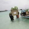 Las Maldivas se encuentran entre los países que sufren de manera desproporcionada los efectos del cambio climático. Foto: FAO/Prakash Singh