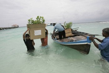 Maldivas são um Estado-ilha que enfrenta muitos desafios devido à mudança climática