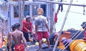 Trabajadores migrantes a bordo de un buque pesquero tailandés. El empleo informal en Asia y el Pacífico representa un porcentaje alrededor del 68%.