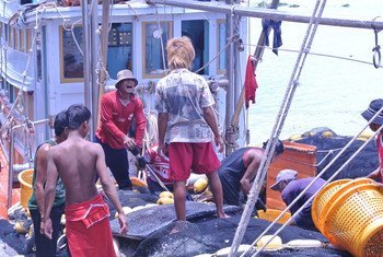 Migrant workers onboard a Thai fishing vessel. While they make an enormous development contribution to both their countries of origin and destination, many migrant workers – particularly those with irregular status – suffer human and labour rights violati