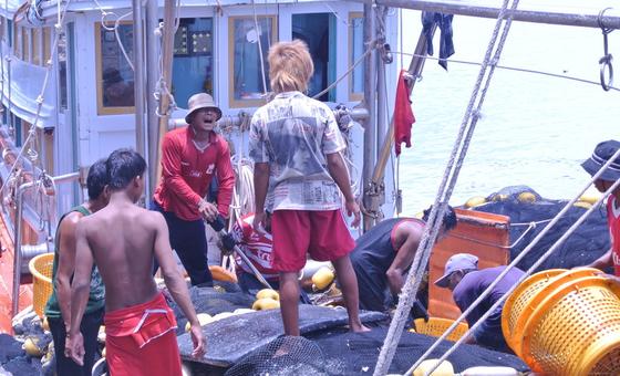 Millions in Asia migrate out of necessity as jobs and services fall short thumbnail