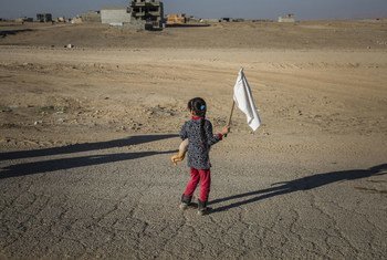 A young girl carrying a teddy bear and waving a white flag, heads towards an army outpost in the Samah neighbourhood on the eastern outskirts of Mosul, away from the heavy fighting engulfing the city.