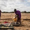 Worsening drought conditions have left hundreds of thousands of Somalis facing severe food and water shortages.