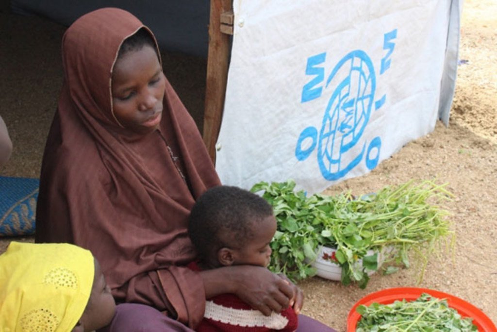 media:entermedia_image:f1825684-9206-4fec-954e-75e549e88045